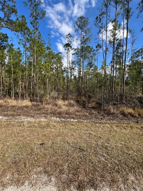 6660 BALBOA BLVD, Sebring, FL 33872