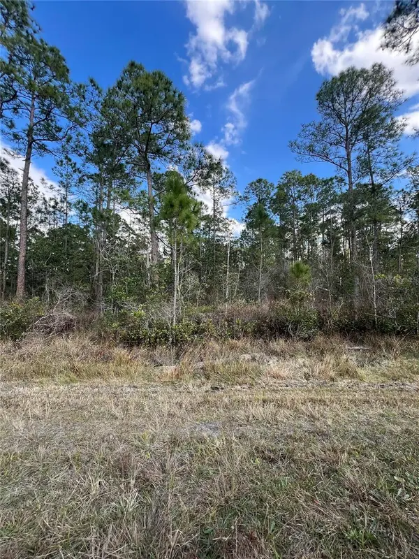 6727 BALBOA BLVD, Sebring, FL 33872