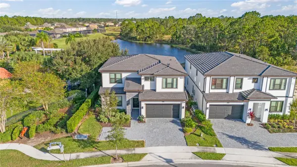 1205 BUTTERFLY ORCHID RD, Davenport, FL 33837