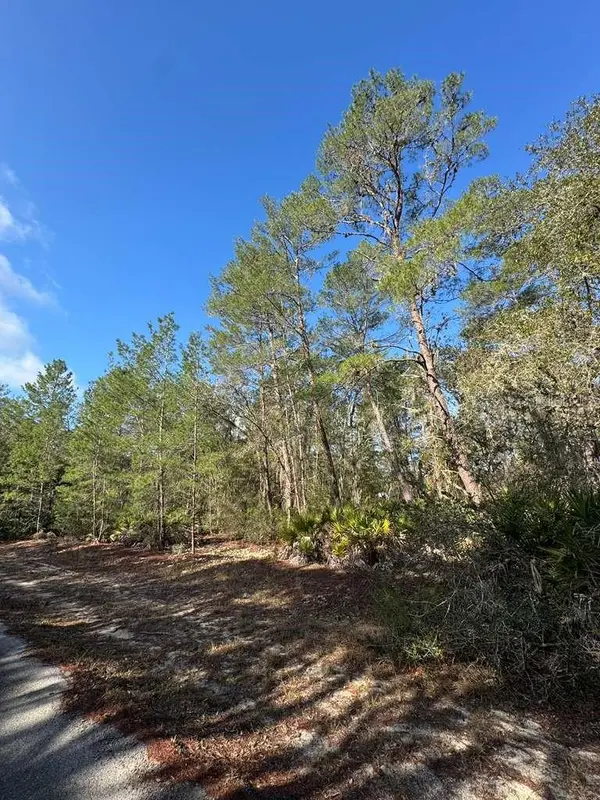Address not disclosed, Ocklawaha, FL 32179