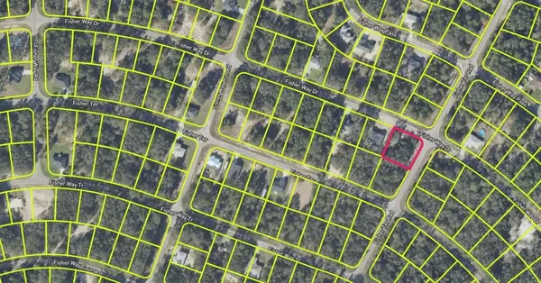 FISHER WAY DR, Ocklawaha, FL 32179