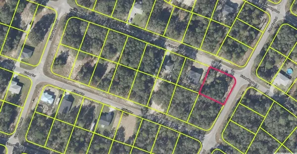 FISHER WAY DR, Ocklawaha, FL 32179