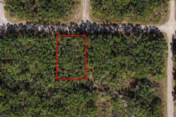 60 E FALCON ST, Dunnellon, FL 34434