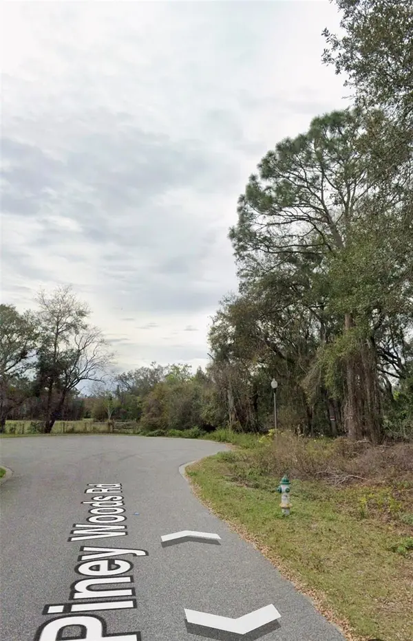 101 PINEY WOODS RD, Apopka, FL 32703