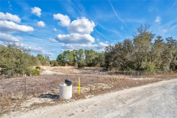 GOODSTONE DR, Webster, FL 33597