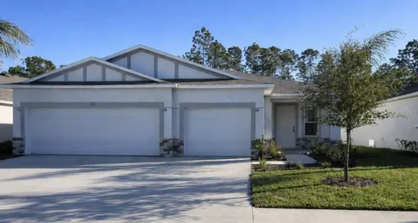 3224 NEEDLE PALM DR, Edgewater, FL 32141