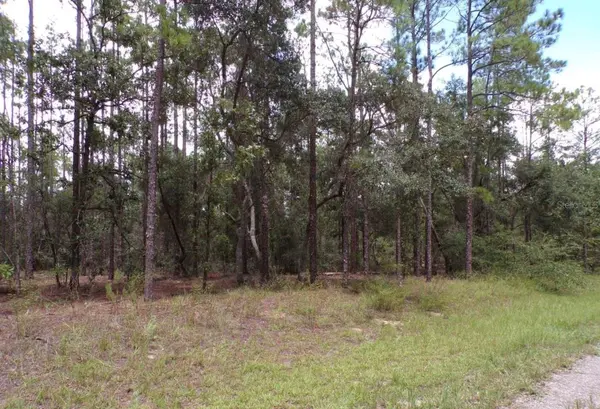 6501 N WINLOCK TER, Dunnellon, FL 34433