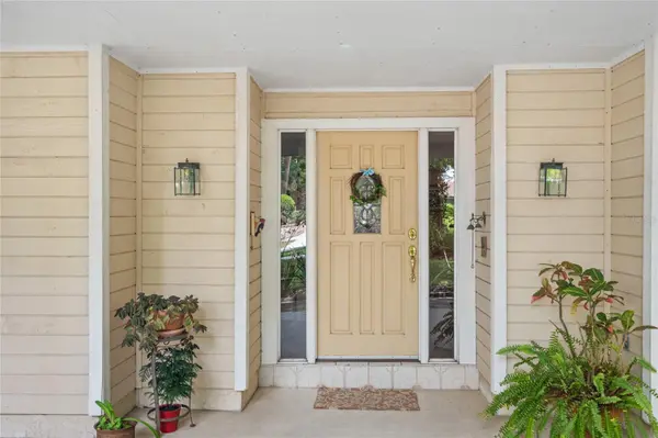 2132 PALM VISTA DR, Apopka, FL 32712