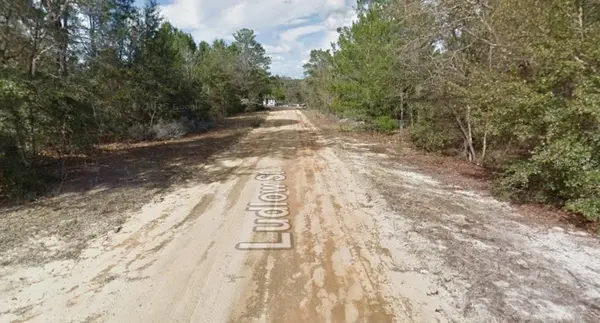 LUDLOW ST, Interlachen, FL 32148