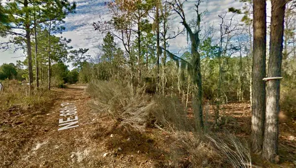 000 66TH PL. NE, Bronson, FL 32621