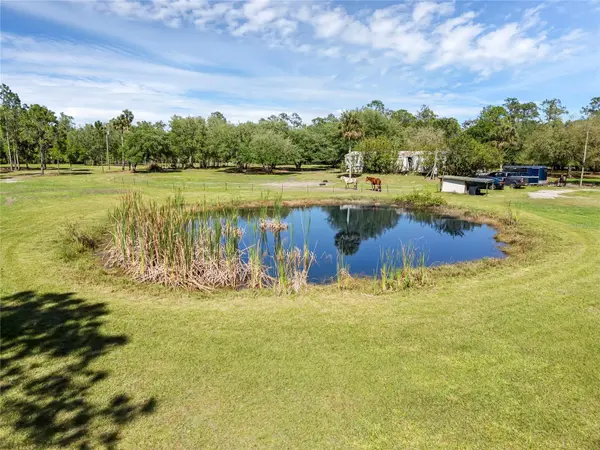 2321 WACCASSA ST, Geneva, FL 32732