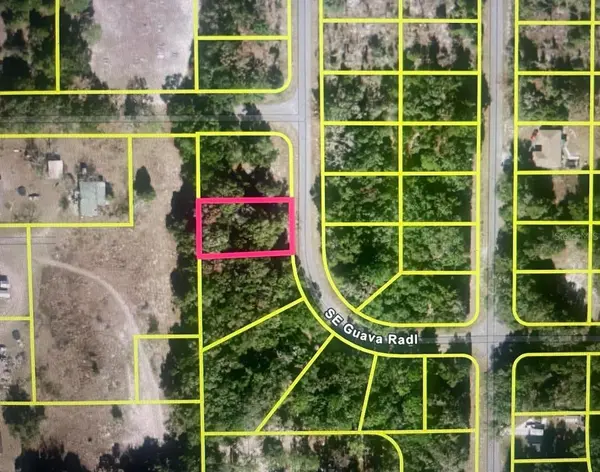 GUAVA TERRACE RADL, Ocklawaha, FL 32179