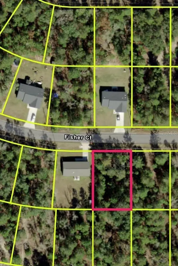 FISHER CT, Ocklawaha, FL 32179