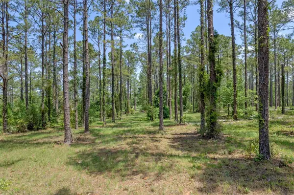 35408 PINEGATE TRL, Eustis, FL 32736
