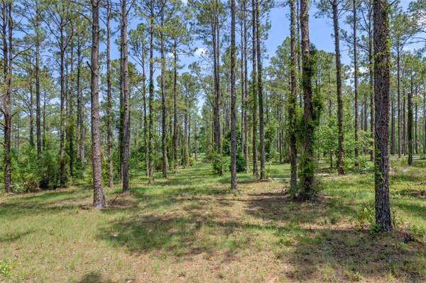 35408 PINEGATE TRL, Eustis, FL 32736