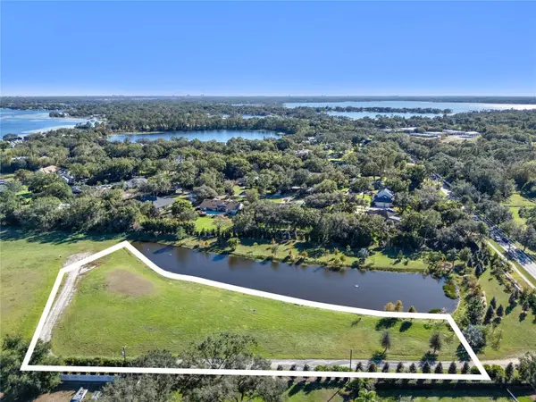 10948 DOWN PARK LN, Windermere, FL 34786