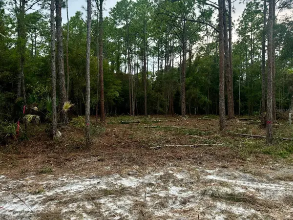 127 LONGTREE ST, Georgetown, FL 32139