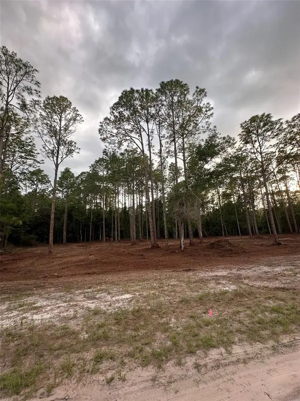 127 LONGTREE ST, Georgetown, FL 32139
