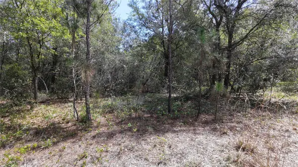 LOS ROBLES DR, Groveland, FL 34736