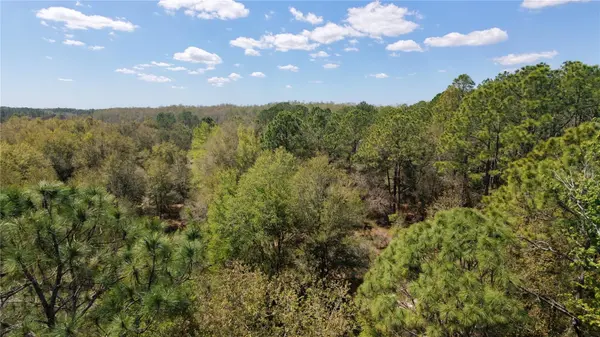LOS ROBLES DR, Groveland, FL 34736