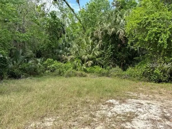1747 TURTLE HILL RD, Deltona, FL 32725