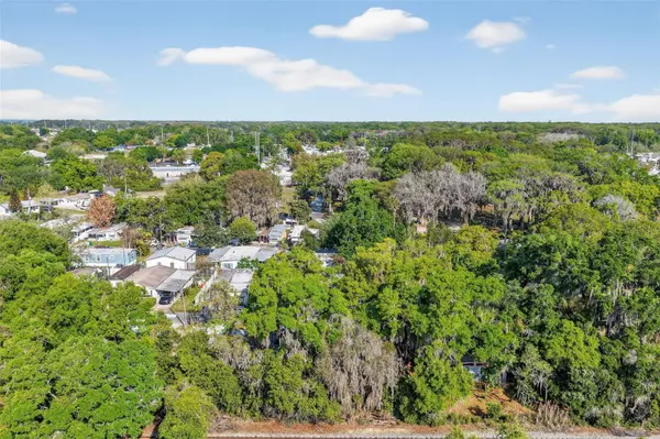 904 MAPLEWOOD ST, Tavares, FL 32778