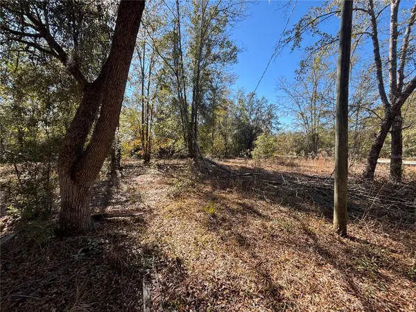 1077 NW HAMP FARMER RD, Lake City, FL 32055