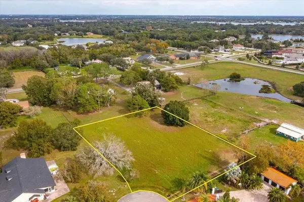 13125 FILLY CT, Windermere, FL 34786