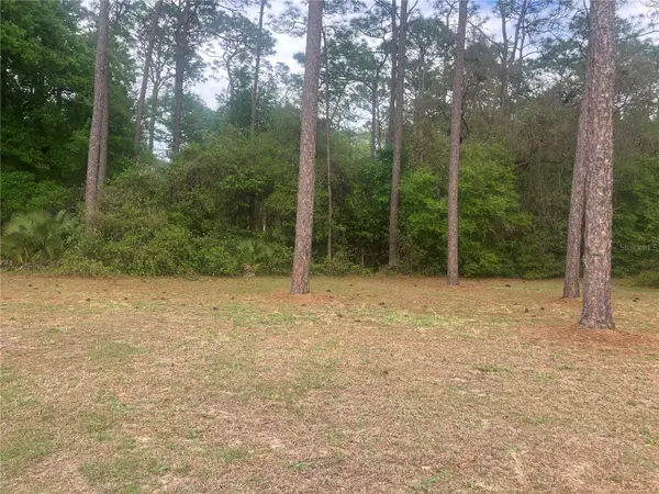 SE 19th Place SE 19TH PLACE, Silver Springs, FL 34488