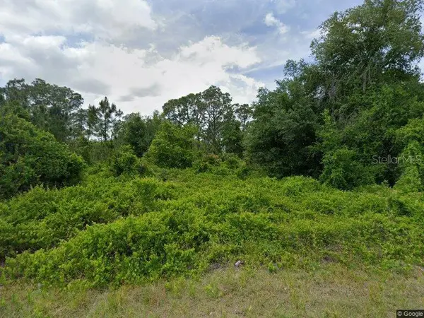315 JOHNSON AVE NE, Lake Placid, FL 33852