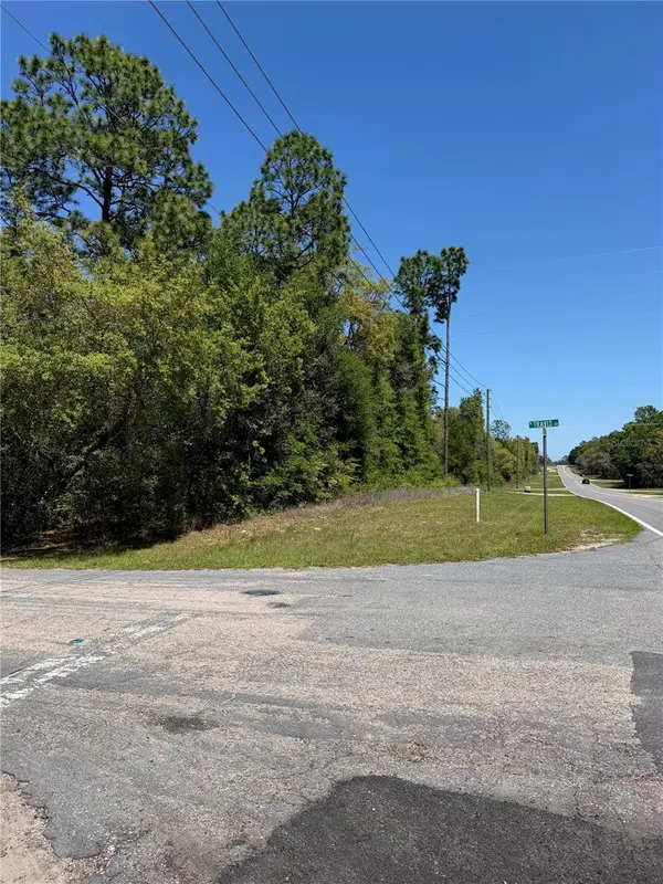 8975 N TRAVIS DR, Citrus Springs, FL 34434