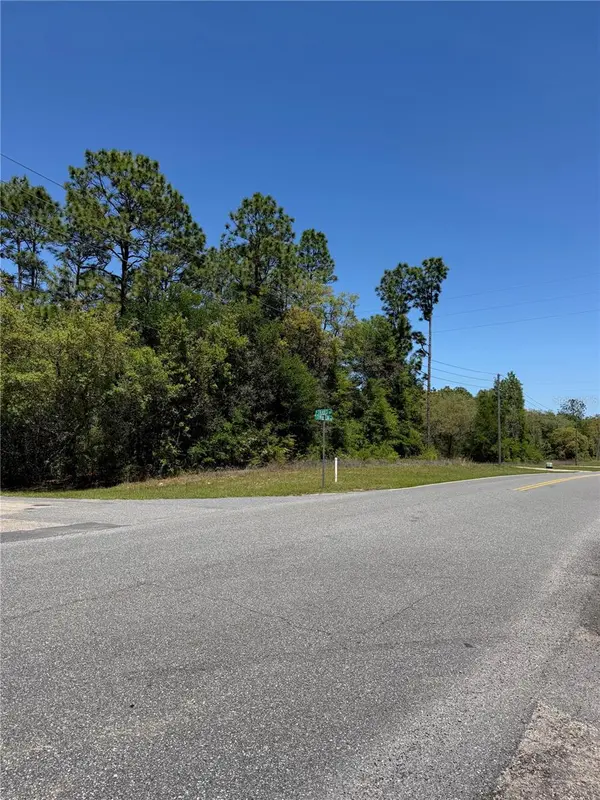 8975 N TRAVIS DR, Citrus Springs, FL 34434