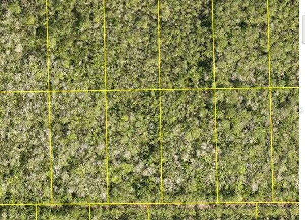 PID 710801150230 NO STREET, Deland, FL 32724