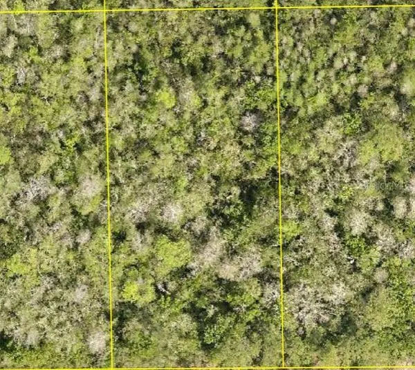 PID 710801150220 NO STREET, Deland, FL 32724