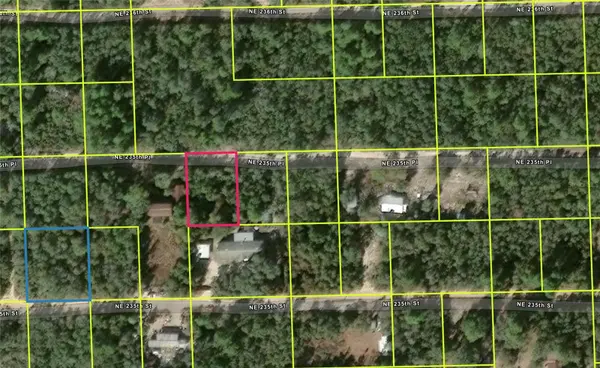 NE 235TH PL, Fort Mc Coy, FL 32134