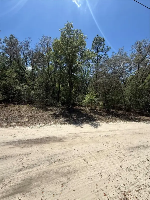 NE 118TH LN, Bronson, FL 32621
