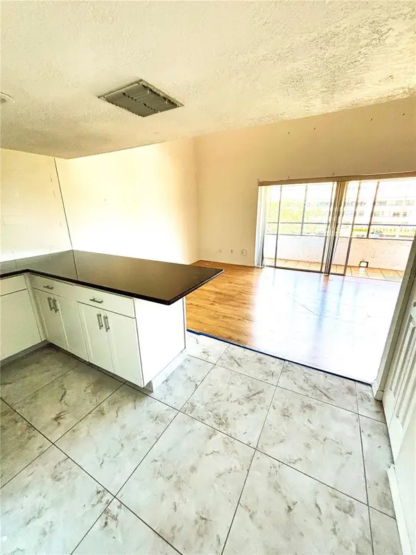 2583 COUNTRYSIDE BLVD #3309, Clearwater, FL 33761