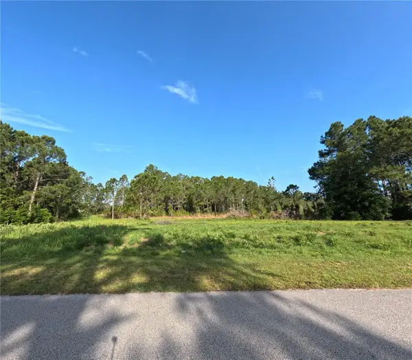 11031 ARROWTREE BLVD, Clermont, FL 34715