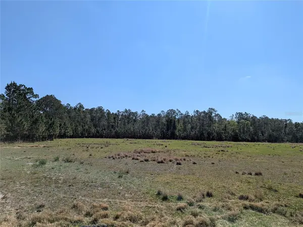 DEEN STILL RD E, Polk City, FL 33868