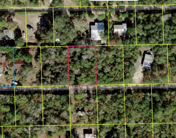 NE 239TH PL, Fort Mc Coy, FL 32134