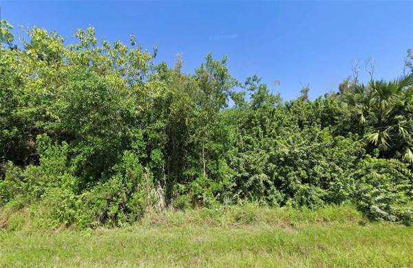 14276 MYAKKA AVE, Port Charlotte, FL 33953