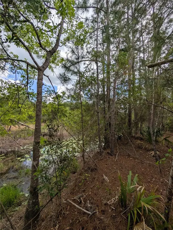 38521 ILEX TRL, Eustis, FL 32736