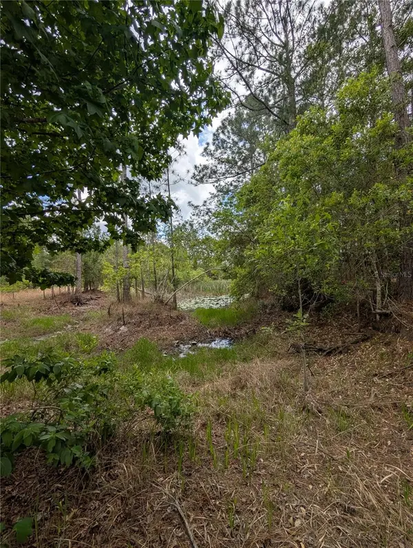38521 ILEX TRL, Eustis, FL 32736