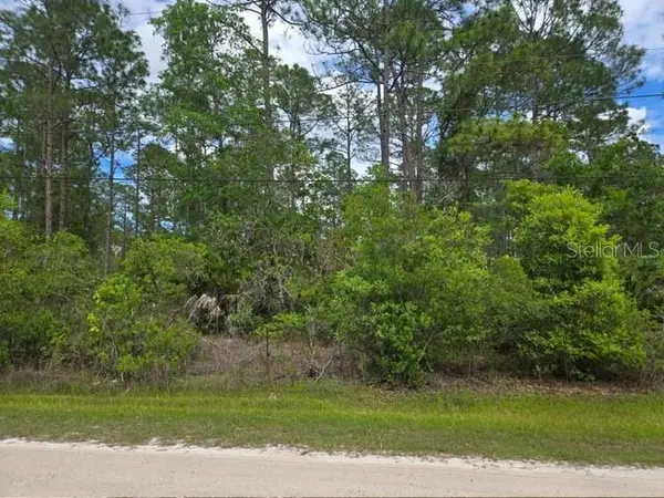 1747 CANDLEBERRY ST, Bunnell, FL 32110