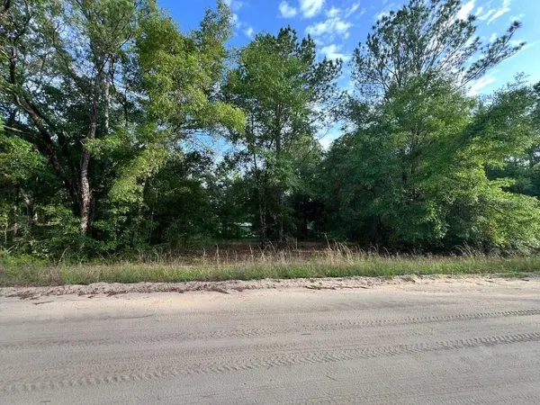 DECKER STREET LOT 12 13, Interlachen, FL 32148
