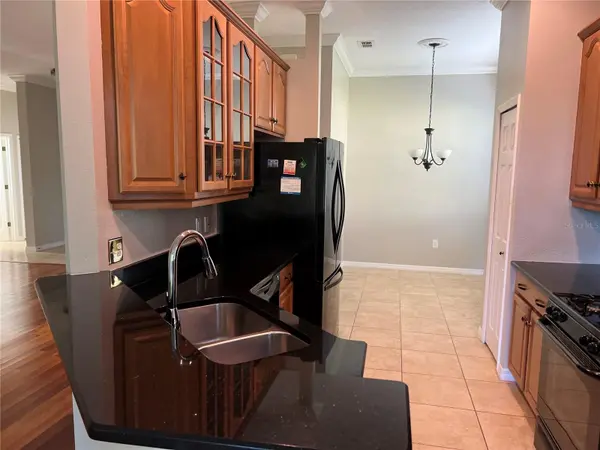 119 FALLING ACORN AVE, Groveland, FL 34736