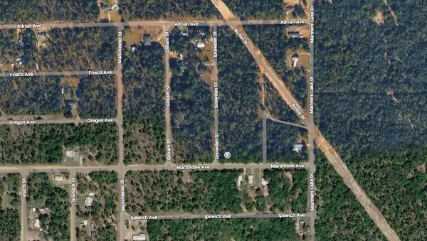LOT 1 MARTINEDALE AVE, Interlachen, FL 32148