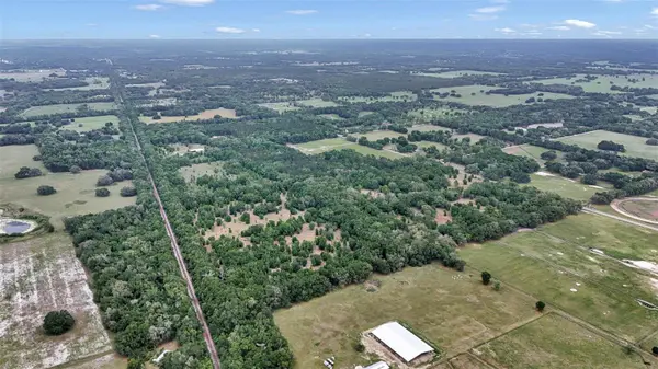 650 NE 200TH AVE, Williston, FL 32696