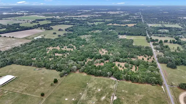 650 NE 200TH AVE, Williston, FL 32696