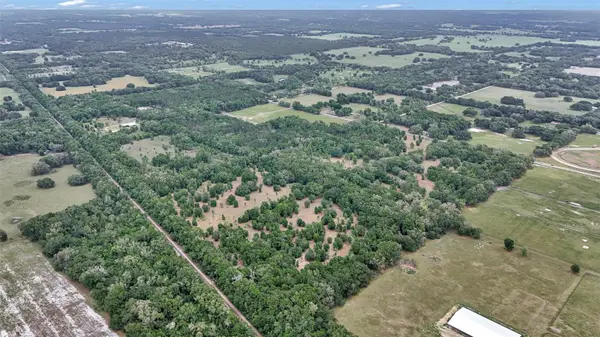 650 NE 200TH AVE, Williston, FL 32696